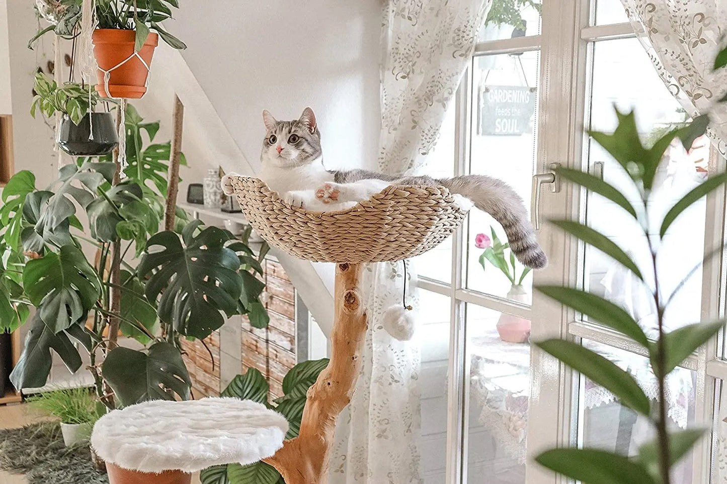 Purfect Paws Luxury Natural Wooden Cat Tree