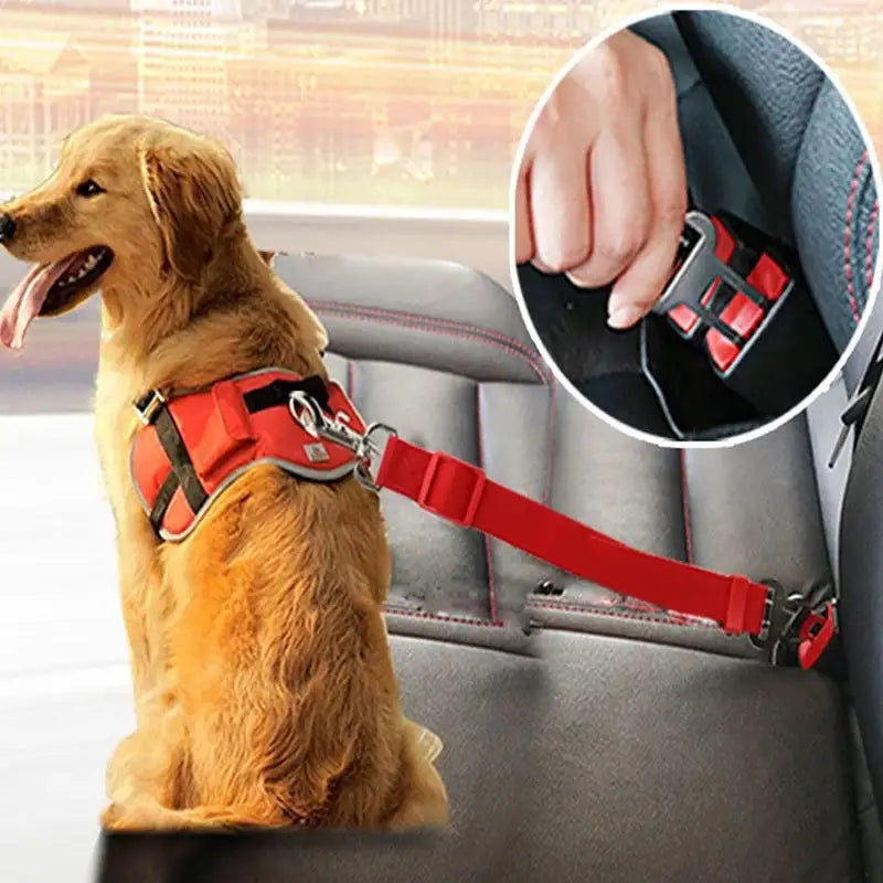PawPet Car Seat Belt