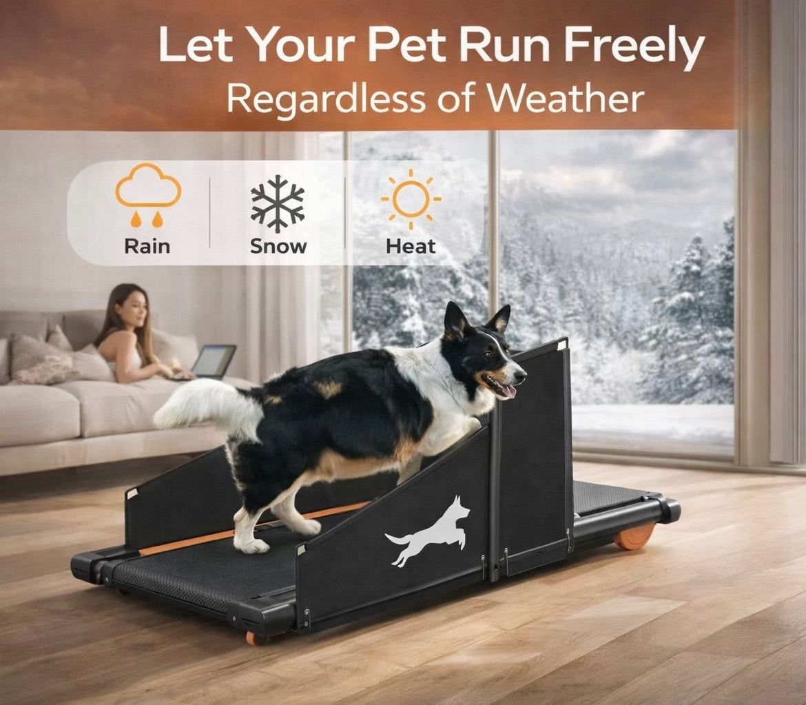Purfect Paws Pet Treadmill – Indoor Dog Walking Treadmill for Small & Medium Dogs