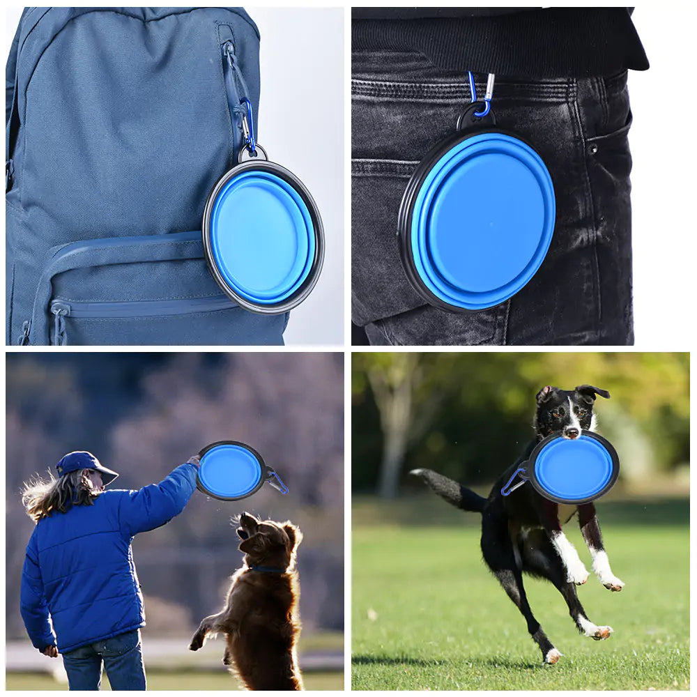 PawPet Collapsible Bowl