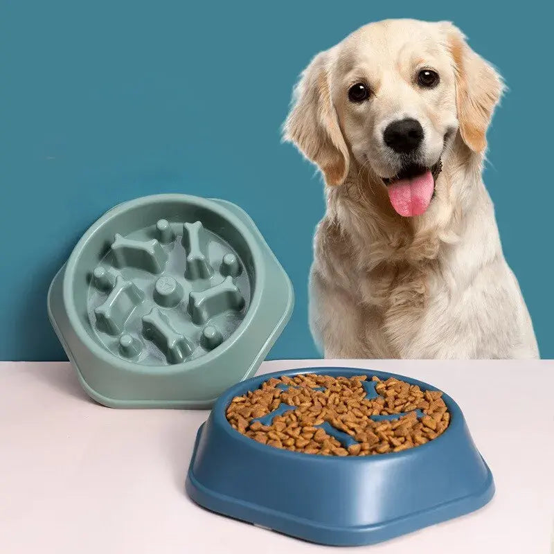 PawPet Slow Feeder Bowl