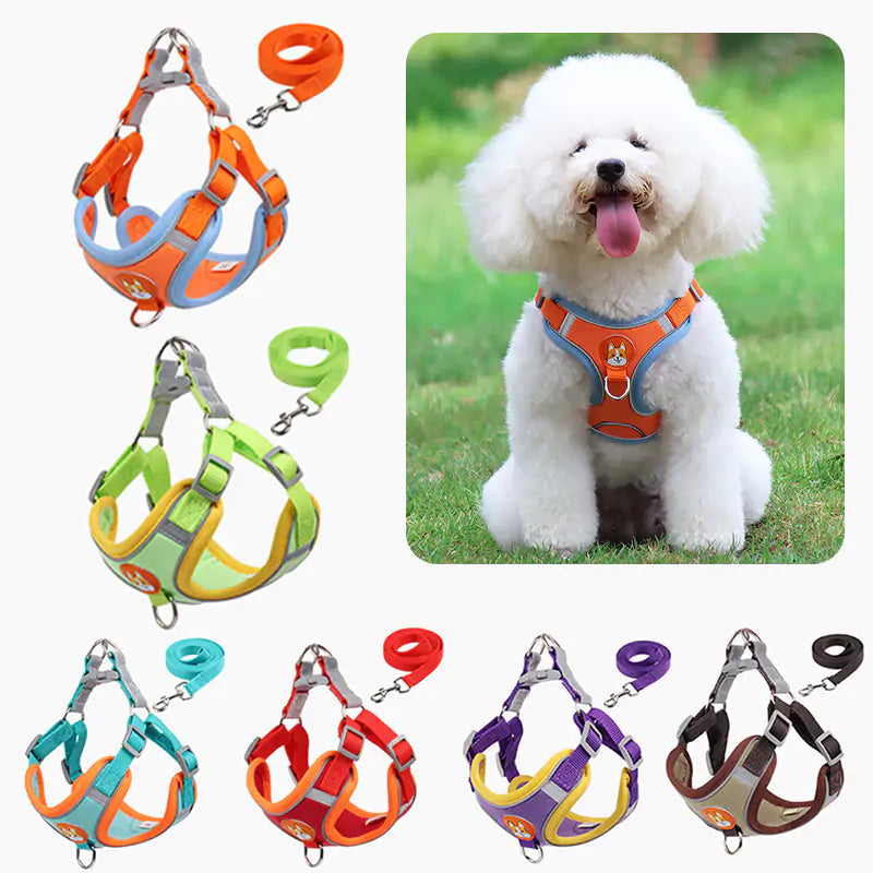 PawPet Reflective Harness & Leash Set