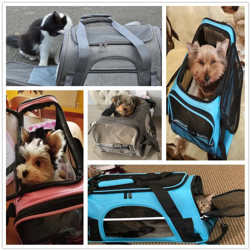 PawTravel Pet Carrier Bag