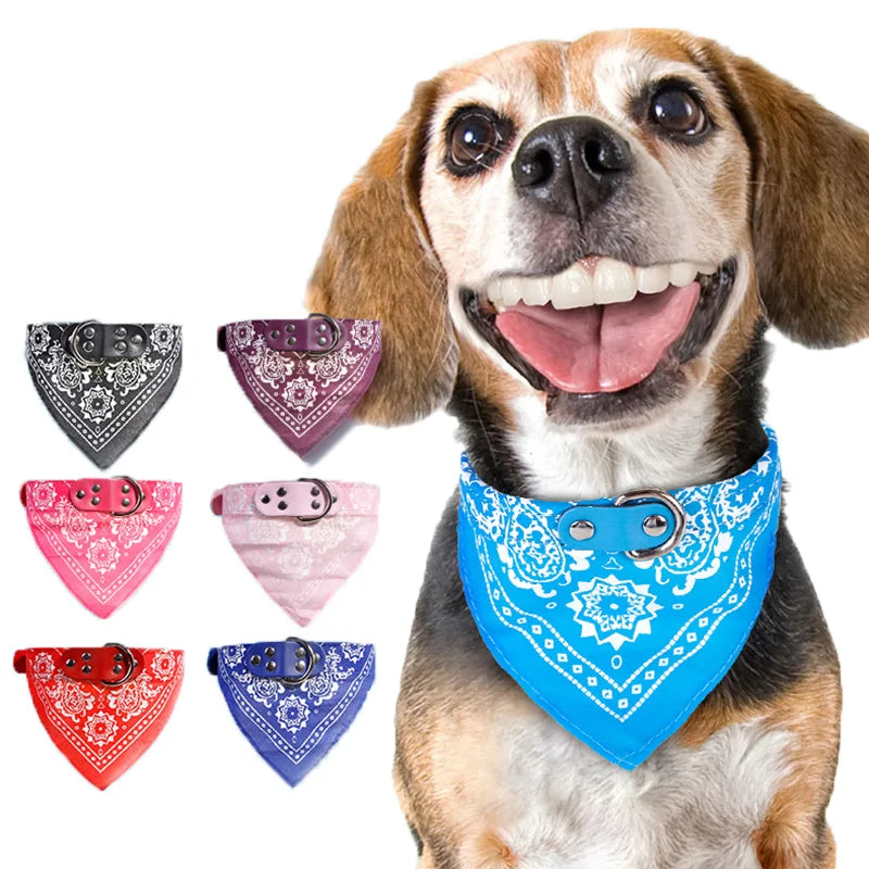 PawPet Neckerchief