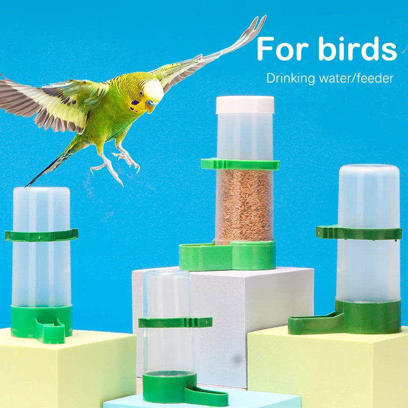 PawPet Automatic Bird Feeder and Water Drinker