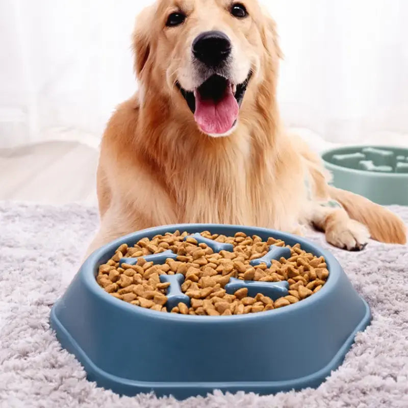 PawPet Slow Feeder Bowl