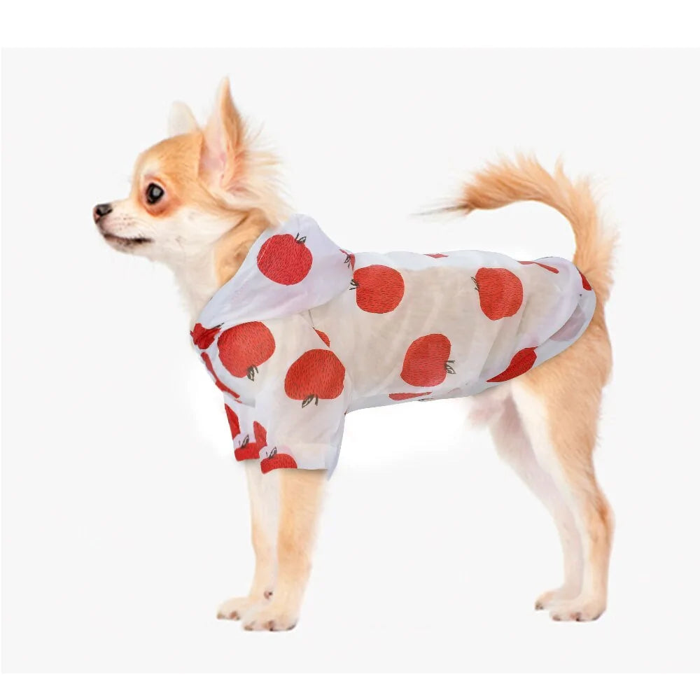 PawPet Small Raincoat