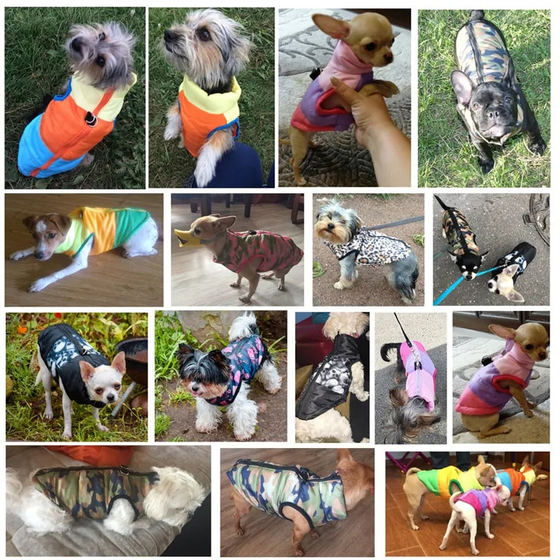 PawPlush Warm Pet Jackets