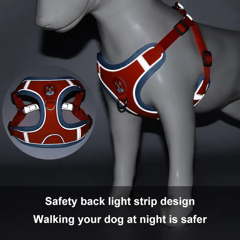 PawPet Reflective Harness & Leash Set