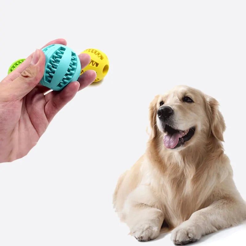 PawPet Teeth Cleaning Ball