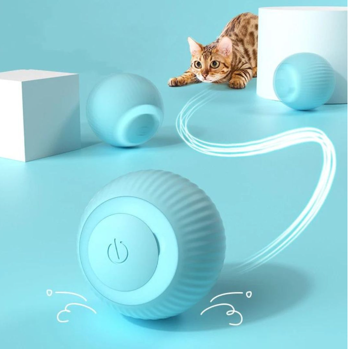 PawPlay Interactive Ball