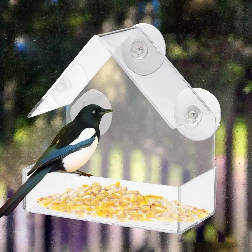 PawView Suction Cup Bird Acrylic Feeder