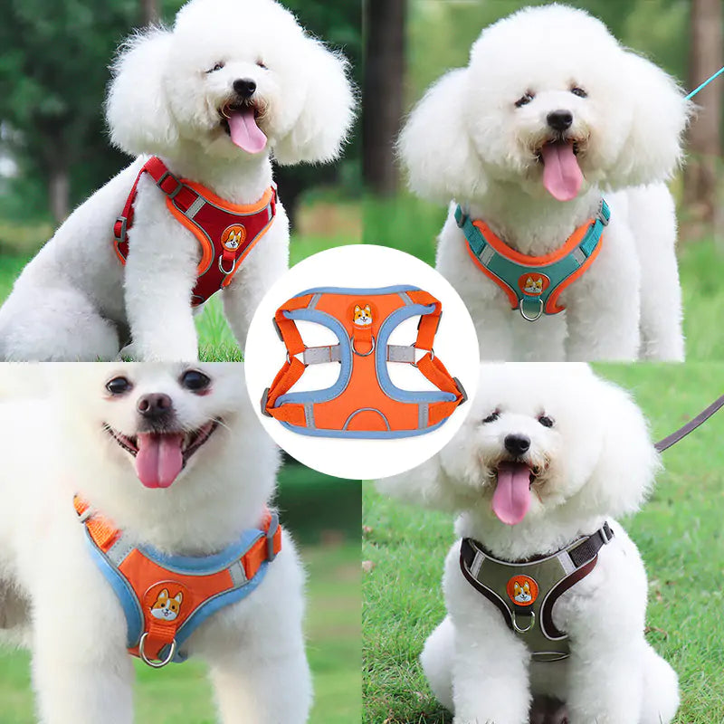 PawPet Reflective Harness & Leash Set