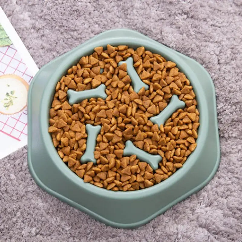 PawPet Slow Feeder Bowl