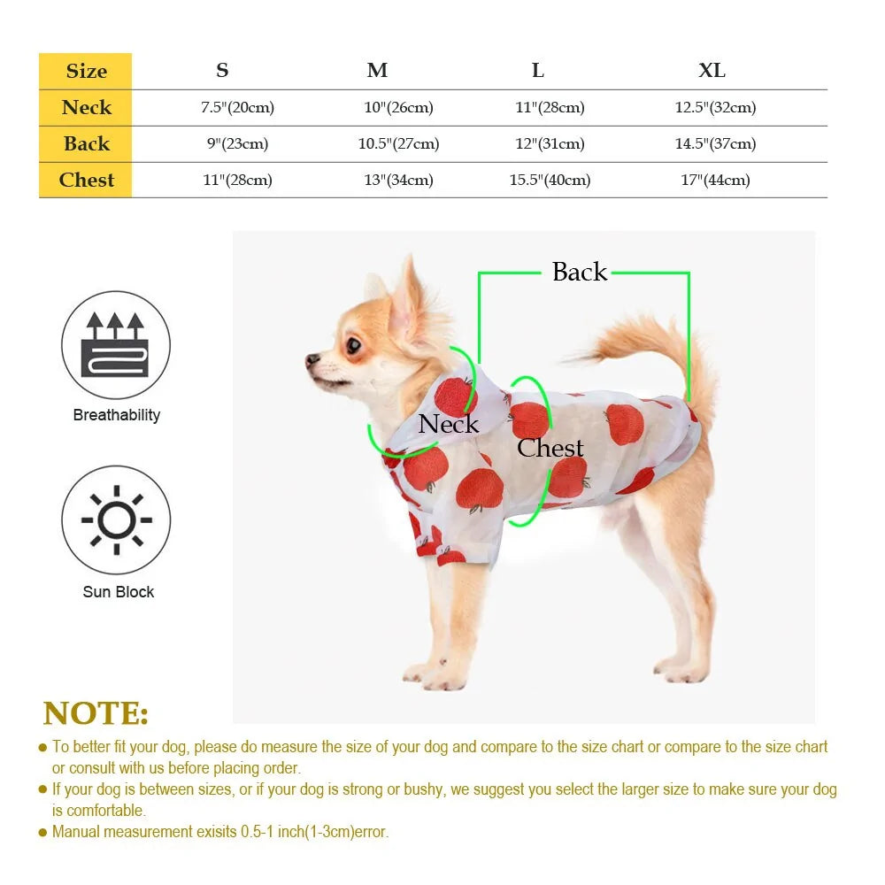 PawPet Small Raincoat