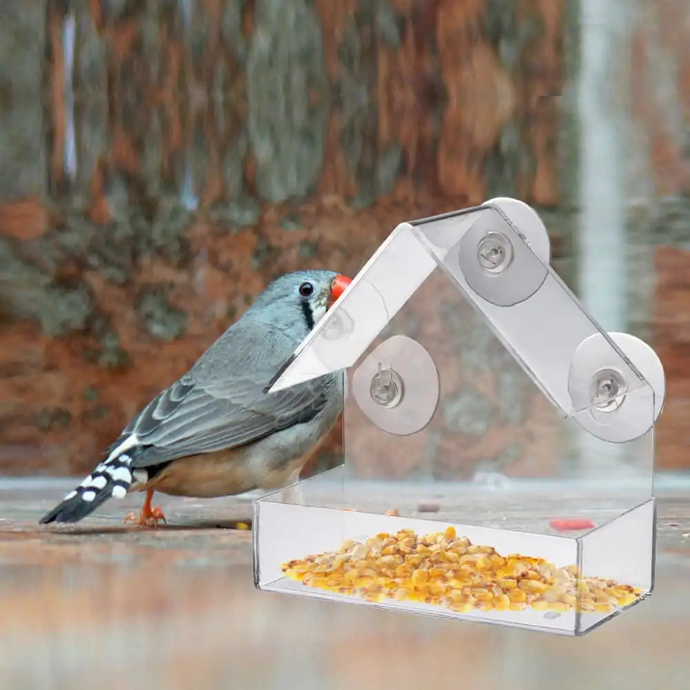 PawView Suction Cup Bird Acrylic Feeder