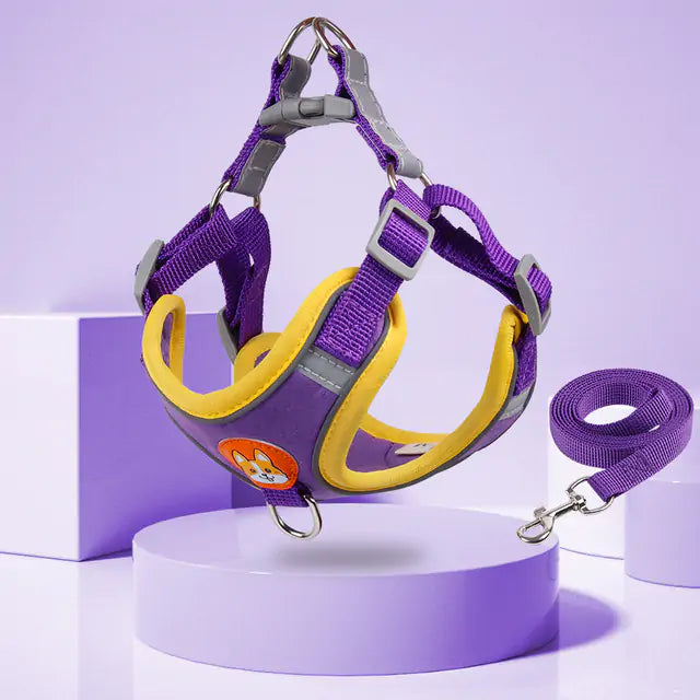 PawPet Reflective Harness & Leash Set