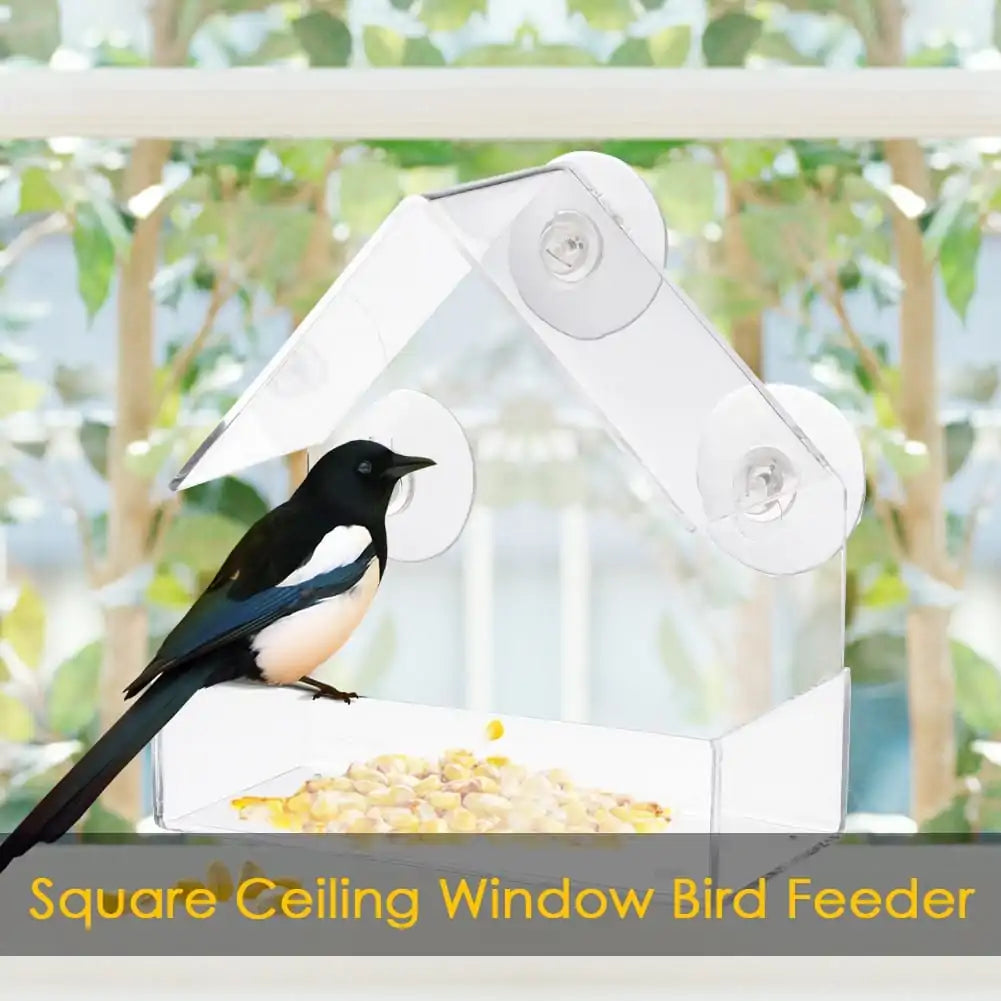 PawView Suction Cup Bird Acrylic Feeder